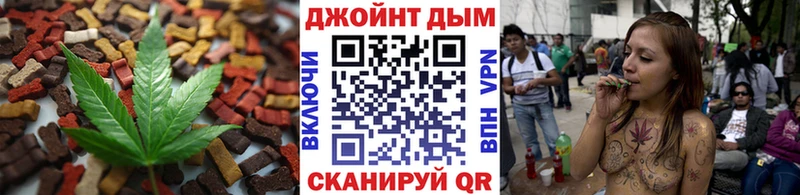 цены наркотик  Славгород  МЕГА ONION  Canna-Cookies конопля 