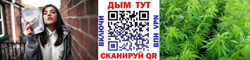 хочу наркоту  Славгород  Бошки Шишки AK-47 